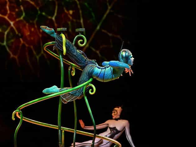 Cirque Du Soleil: aula de empreendedorismo e inovação