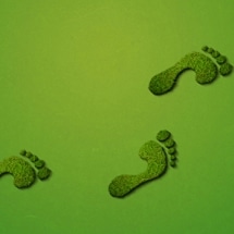 Responsabilidade social nas corporações