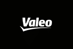 Valeo Sistema de Limpadores conquista alto índice de felicidade no trabalho