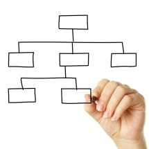 Organograma: Entenda sua importância para a empresa