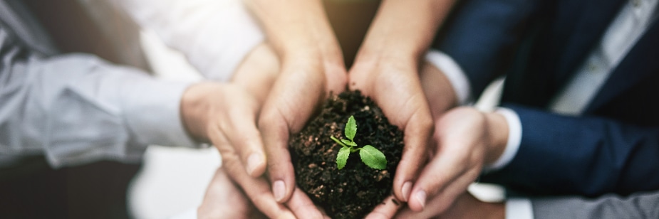 Responsabilidade social: saiba como tomar boas decisões no RH