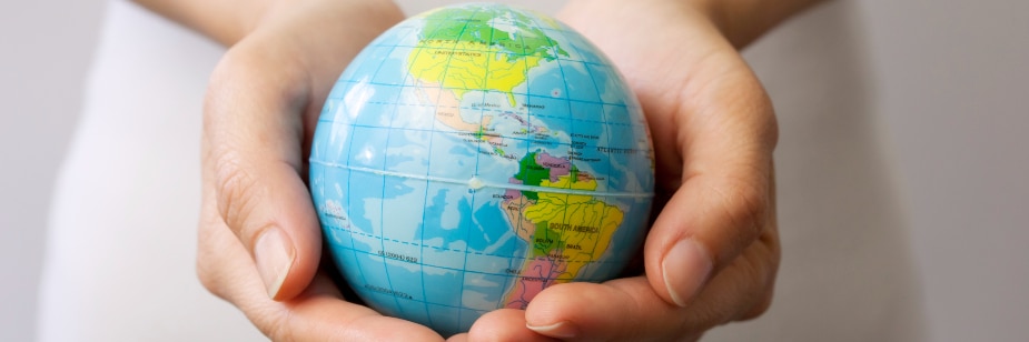 Mundo bani: por que você precisa conhecê-lo?