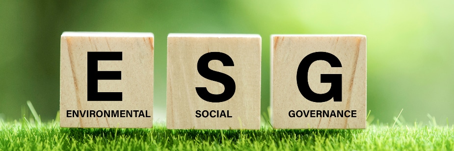 ESG: entenda os princípios e a atuação do RH na implementação